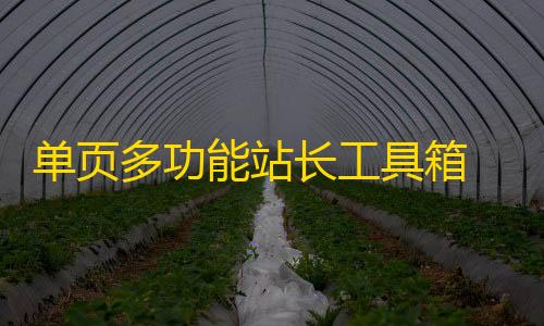 实时计算单页多功能站长工具箱 HTML源码